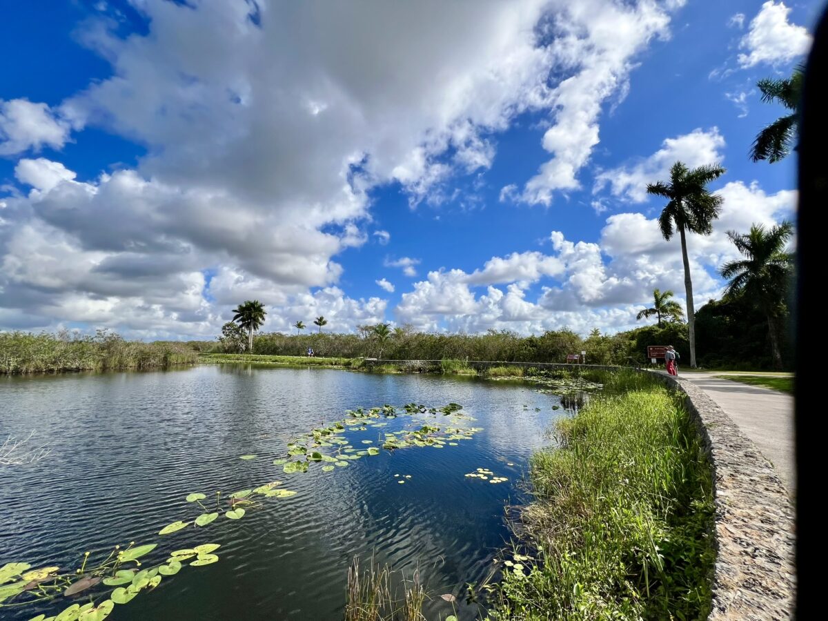 Everglades National Park Trail _ Credit_ Bonnie Barnes
