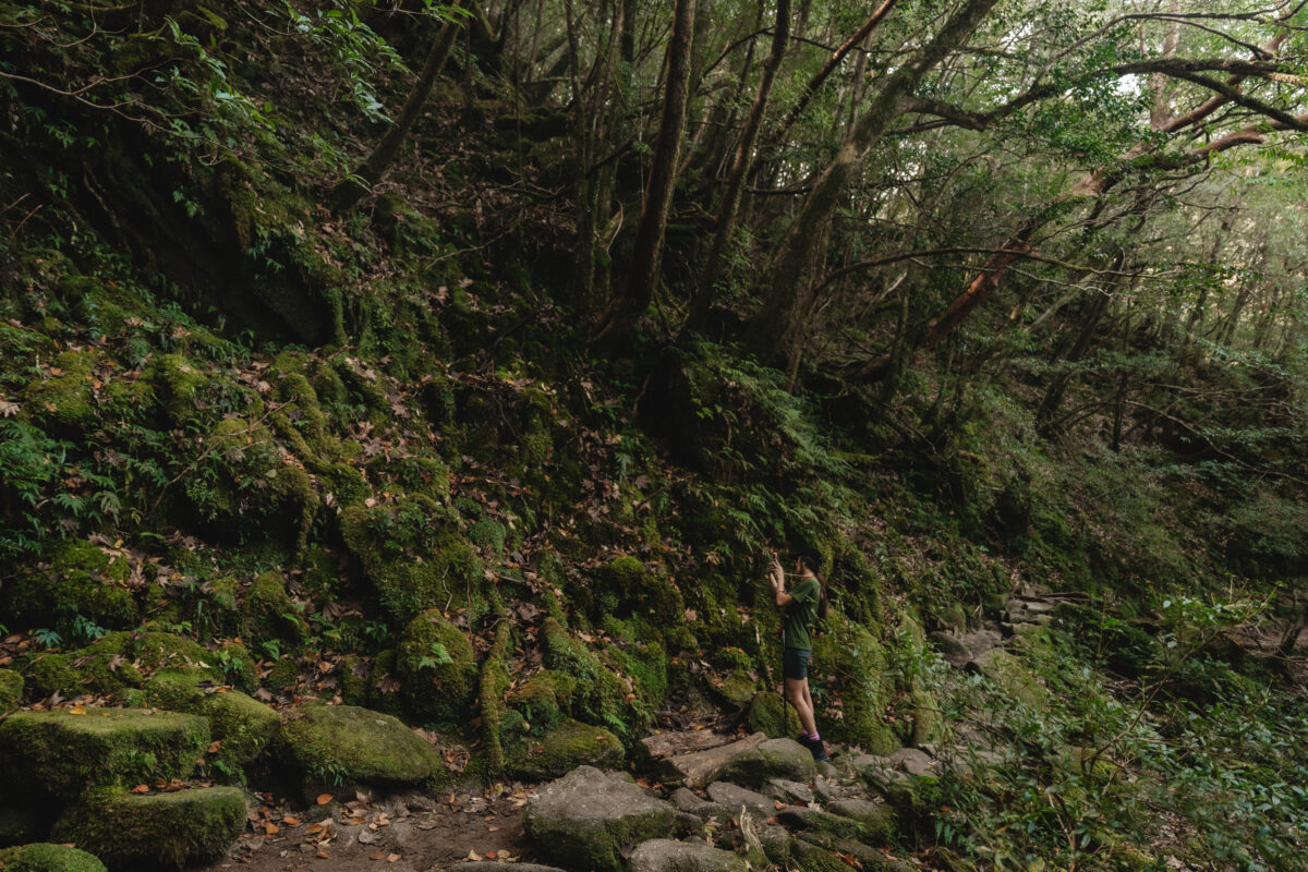 Yakushima hike