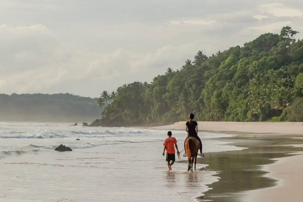 NIHI Sumba horse riding