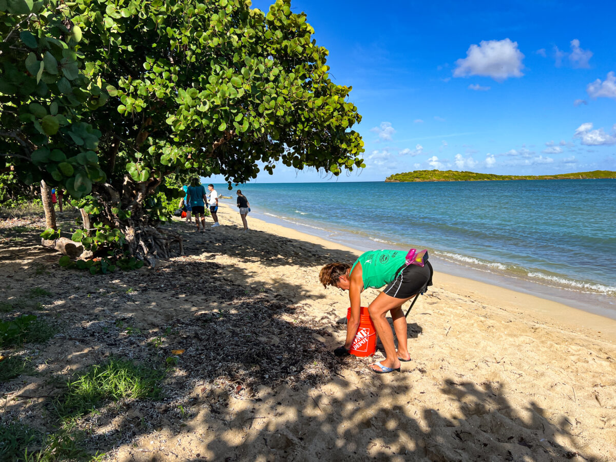 Person in green shirt bending down to pick up trash on beach with orange bucket_St Croix USVI_Brandy Jo Hastings