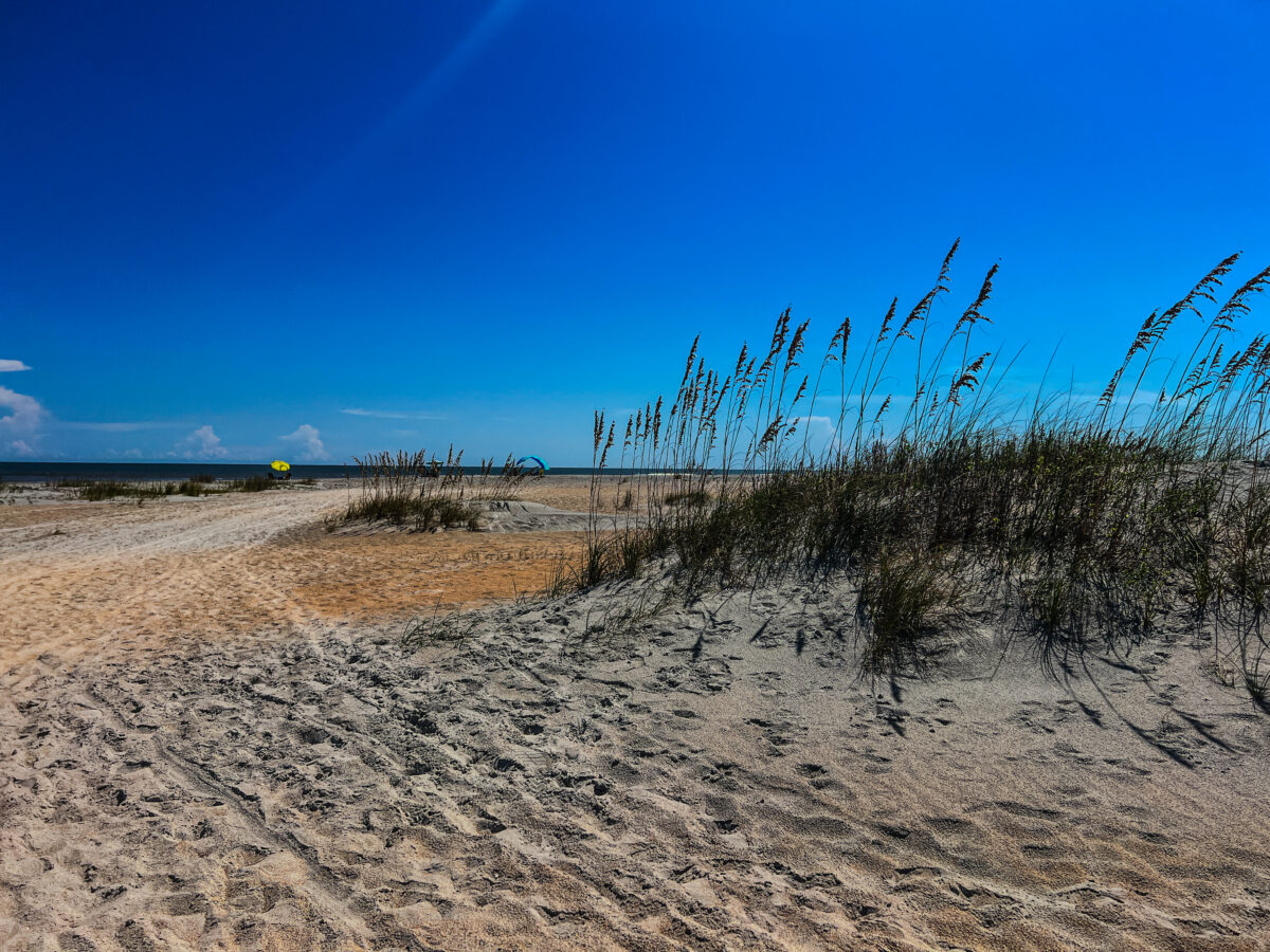 Sand dunes with gras with water and umbrella in background_Anastasia State Park_Brandy Jo Hastings