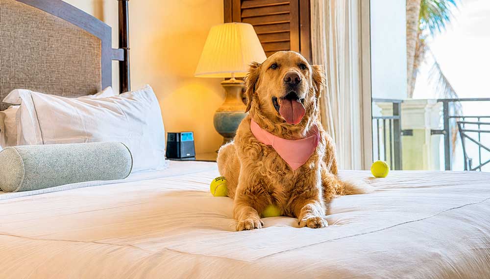 Kimpton Vero Beach Hotel and Spa 