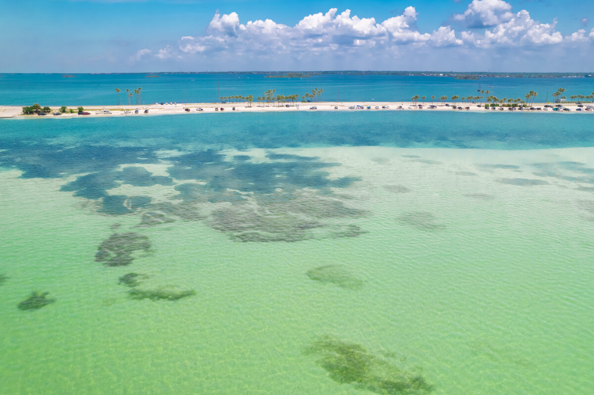 Caladesi Island State Park, Dunedin