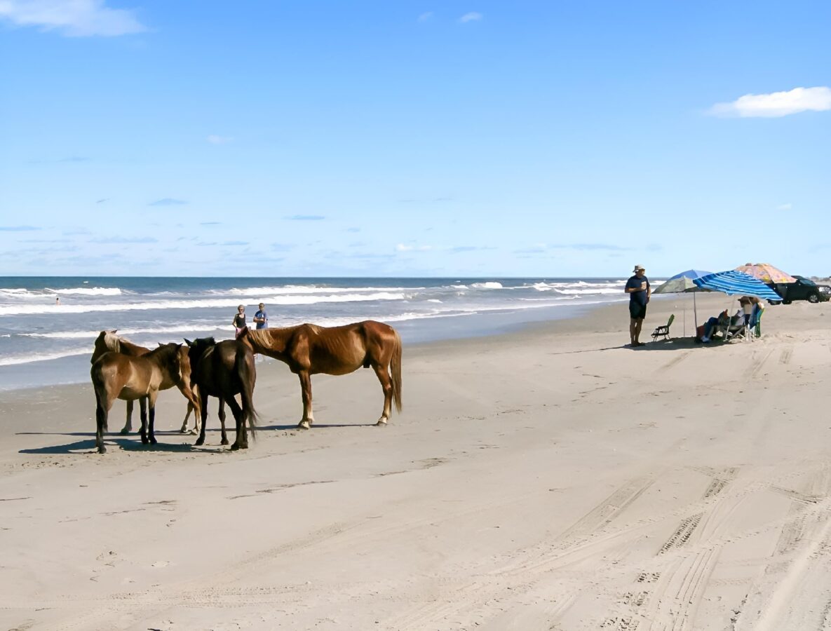 Carova Beach, North Carolina