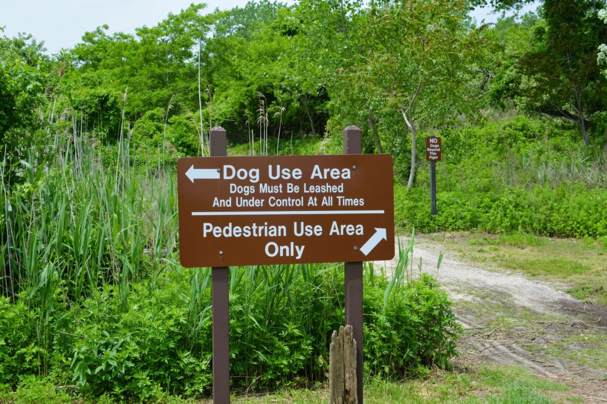 A dog beach park sign at the New Jersey shore