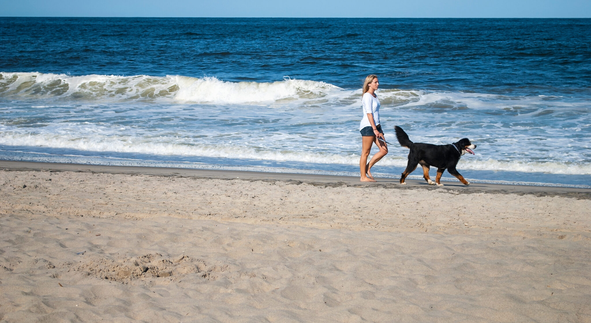 I’ve Taken My Dogs on Multiple New Jersey Beach Trips—Here’s How to Plan Your Own Dog-friendly Getaway
