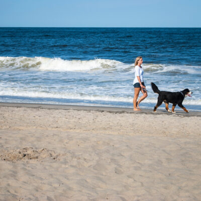 I’ve Taken My Dogs on Multiple New Jersey Beach Trips—Here’s How to Plan Your Own Dog-friendly Getaway