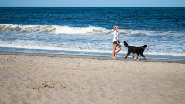 I’ve Taken My Dogs on Multiple New Jersey Beach Trips—Here’s How to Plan Your Own Dog-friendly Getaway