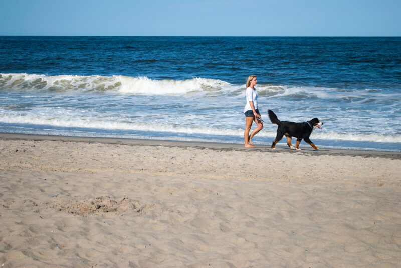 Walking the Dog. A young lady walks her dog along the beach in Sea Bright New Jersey