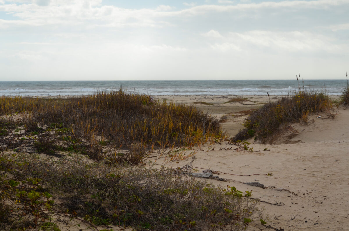 Matagorda Beach, Texas