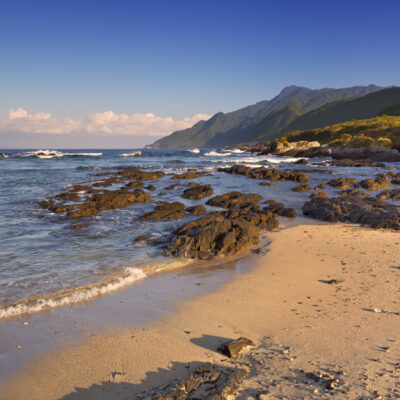This Japanese Island Has Ancient Cedar Forests, Secluded Beaches, and Almost No Tourists