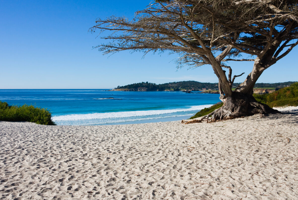 Carmel Beach