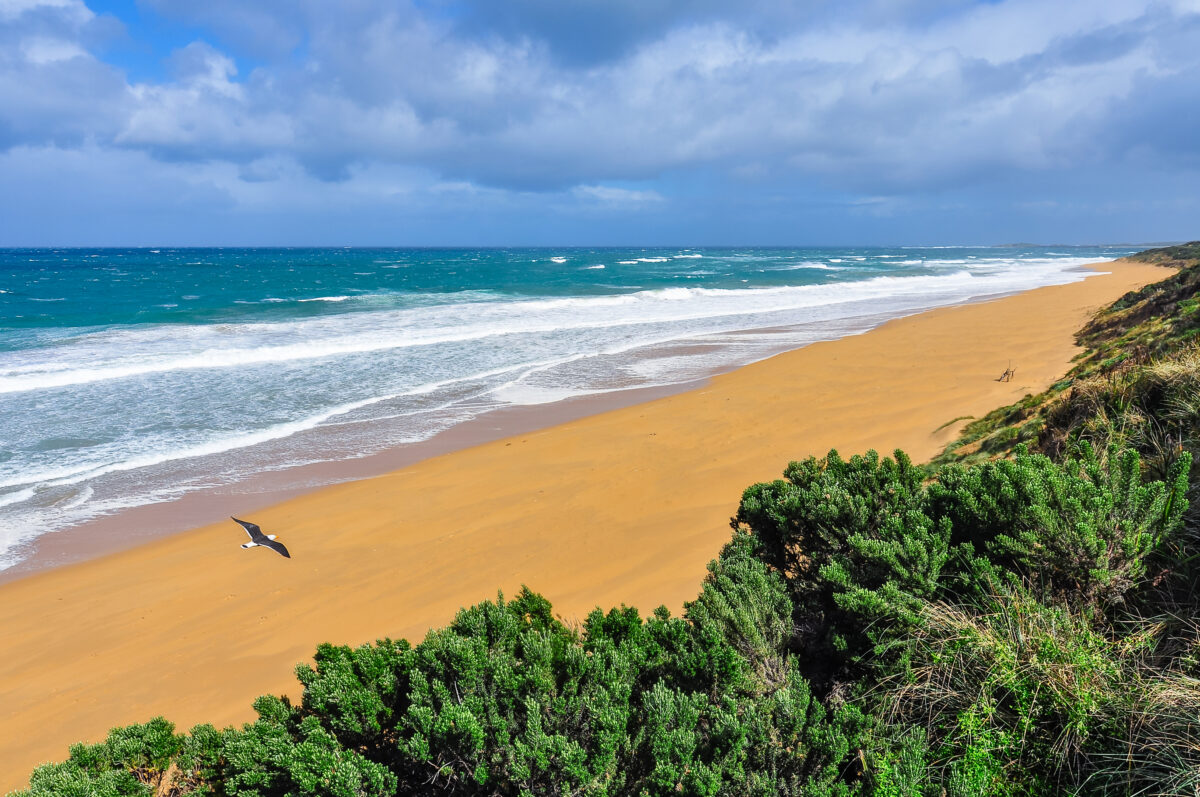 Warrnambool Beach, Warrnambool