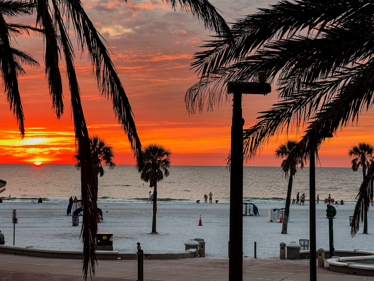 palm trees and beach at sunset with orange sky_Clearwater Beach_Florida_Brandy Jo Hastings