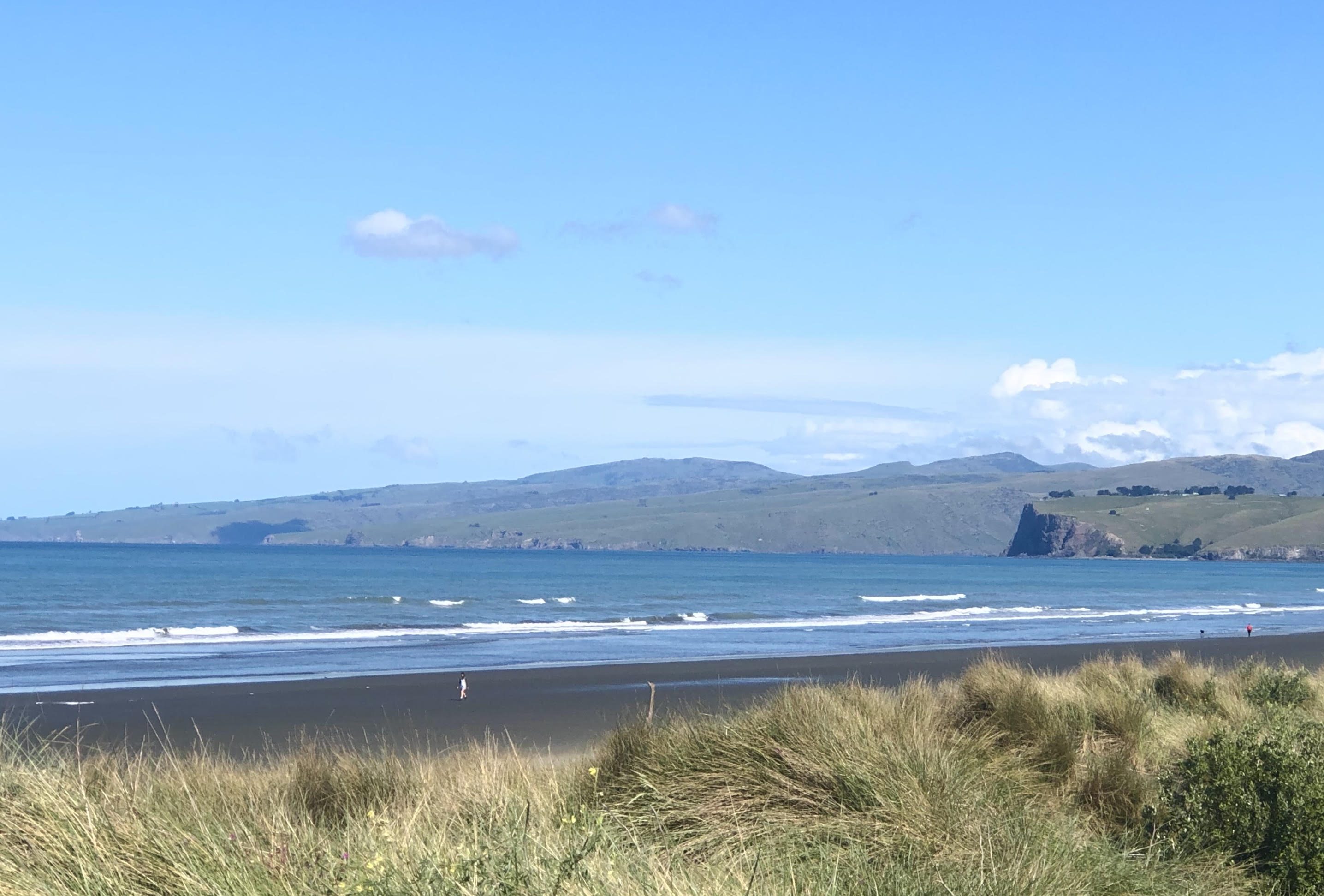 South Shore Beach Park near Christ Church New Zealand