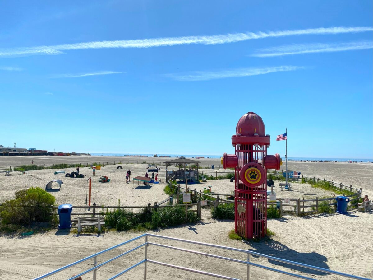pet-friendly features at Wildwood Dog Park & Beach