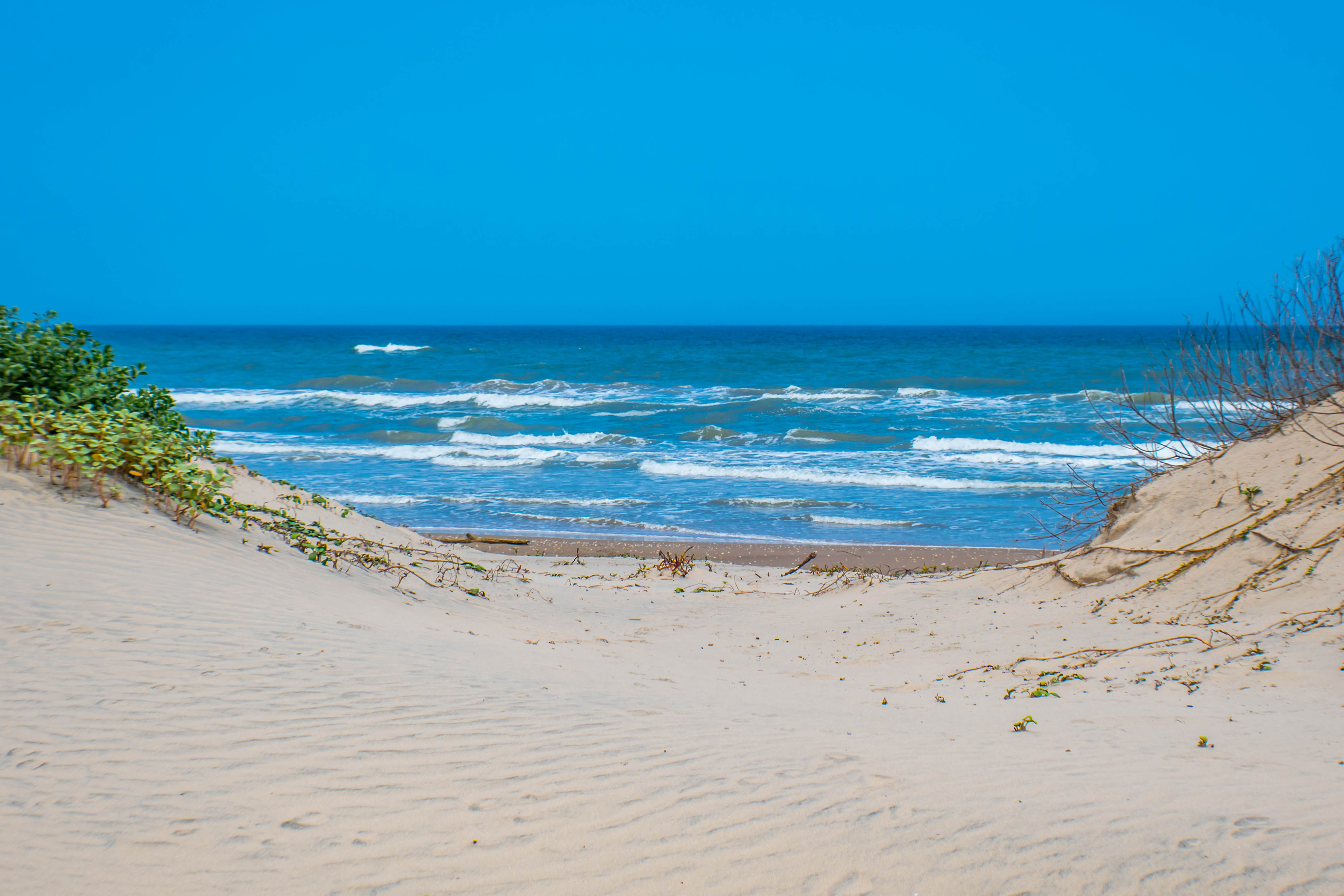 A beautiful soft and fine sandy beach along the gulf coast of South Padre Island, Texas. A scenic view of whitecap waves roll onto the fine sandy beach of the preserve island