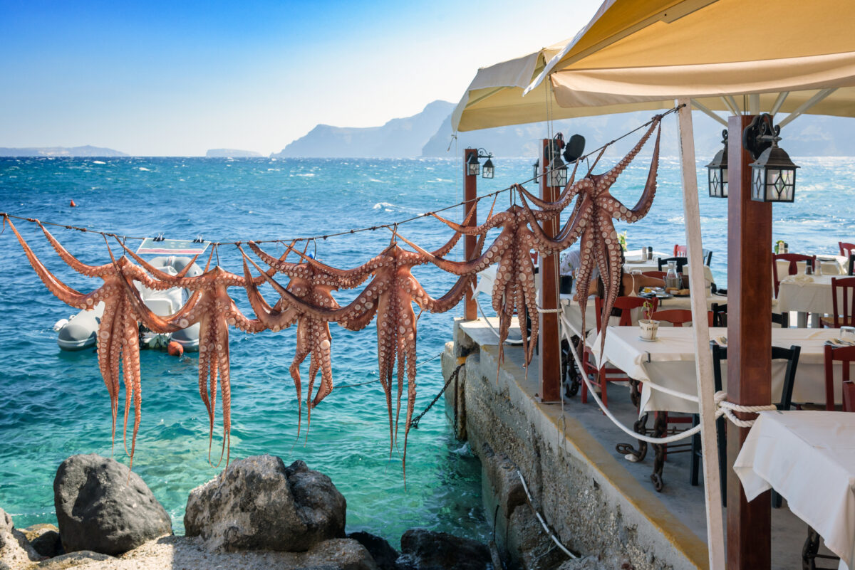 Drying octopus arms at Greek tavern on Santorini island, traditional greek seafood prepared on a grill, Greece