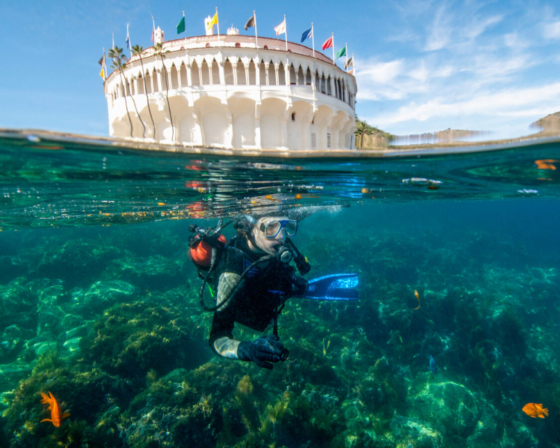 Dive at Casino Point in Catalina Island, California
