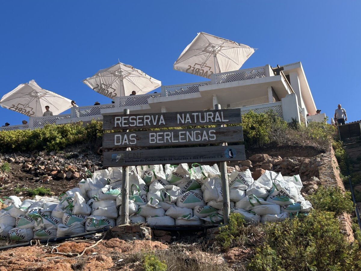 berlengas island