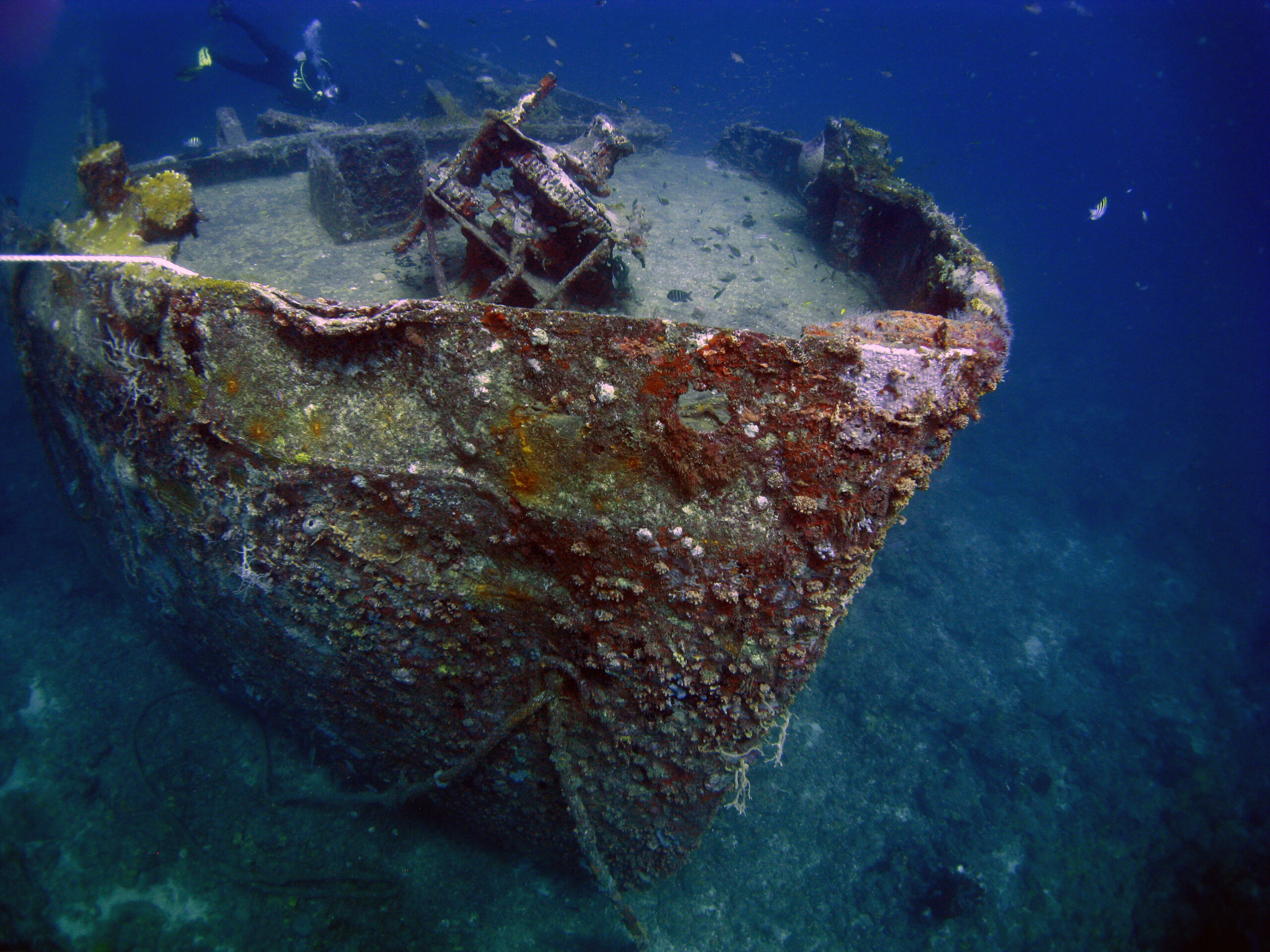Scuba Dive at These Top Diving Spots in the Caribbean