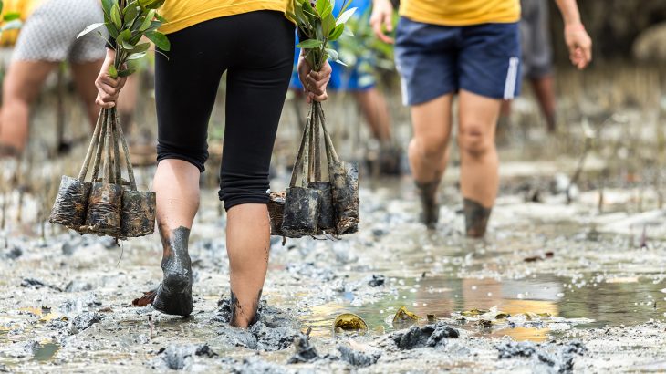 Volunteer on your Caribbean vacation