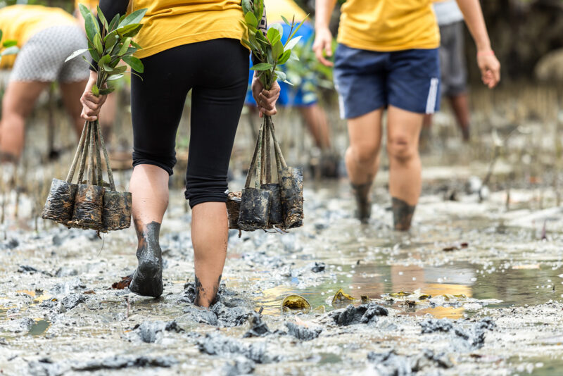 Volunteer on your Caribbean vacation