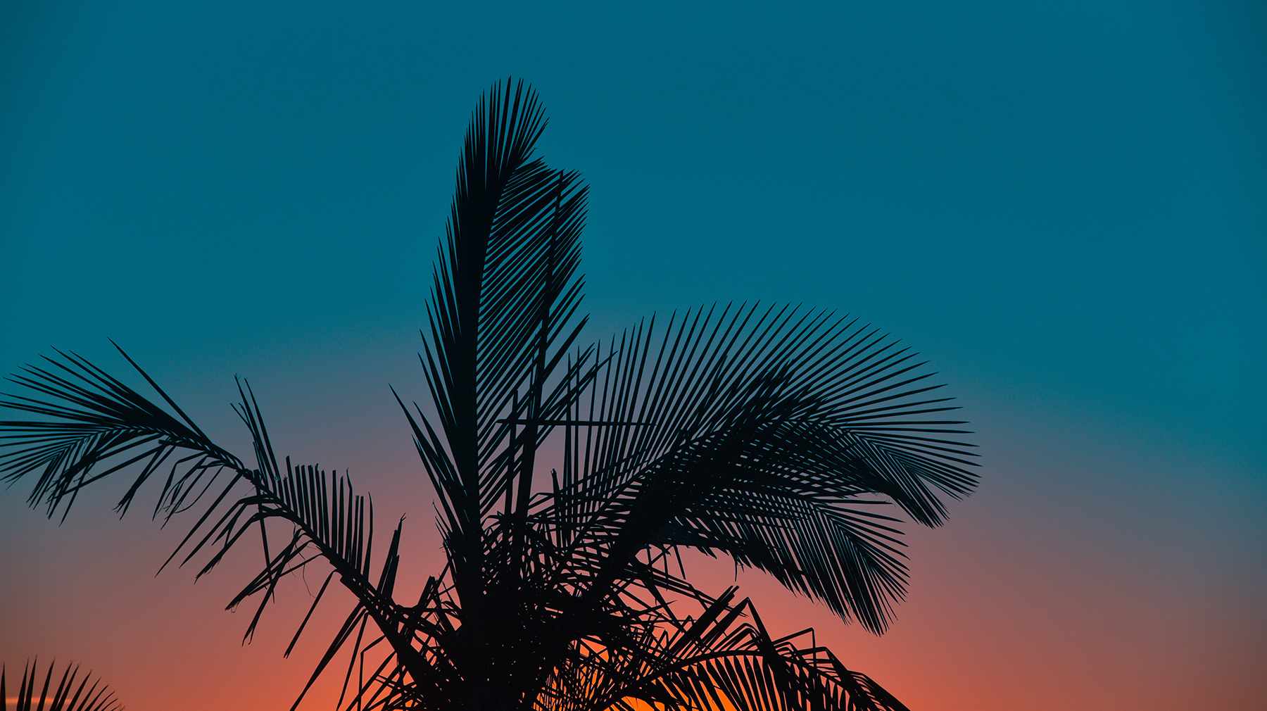 Couple Getaways: Top 3 Most Romantic Beaches in Mexico