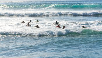 Caribbean surf schools