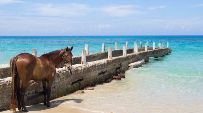 Ride-horses-on-the-beach-in-Montego-Bay