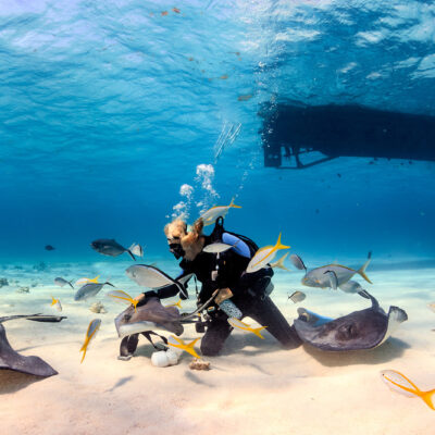 The Best Scuba Diving Spots in the Caribbean