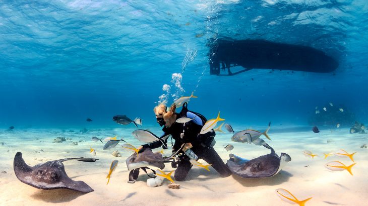 Stingray City, Cayman Islands