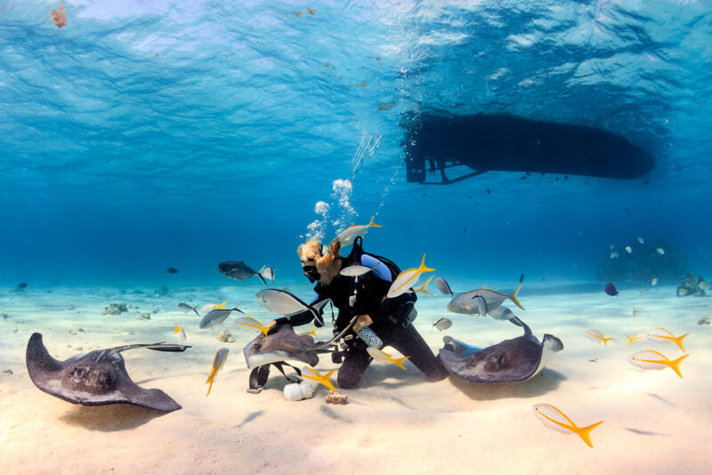 Stingray City, Cayman Islands